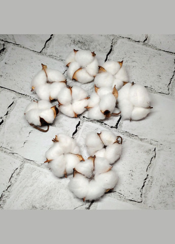 Натуральный хлопок сухоцвет головки хлопка 10 шт 4-5 см Белый No Brand (327368055)