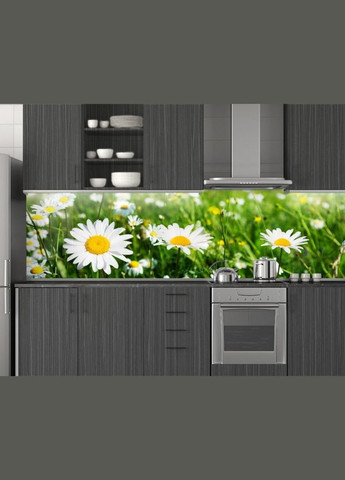 Кухонная панель ПЭТ с ромашками ПЭТ 62 х 305 см, 1,2 мм Декоинт (278286749)