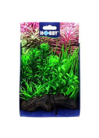 Штучна рослина Flora Root 2 S 17 см Hobby (322711805)