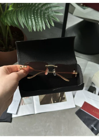 Окуляри Panthère Brown Gold CT0505S No Brand (355342193)