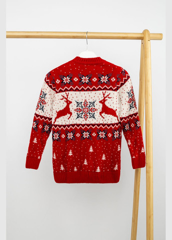 Джемпер для хлопчика колір червоний ЦБ-00233913 Cilivili (294913768)