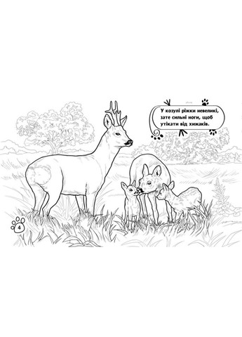 Дитяча розмальовка "Тварини у лісі" 583012, 16 сторінок Ranok Creative (366977167)