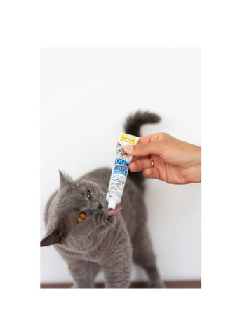 Паста для кошек DUO PASTE Multi-vitamin 12 vitamins with tuna 12 витаминов и тунец, 50 г (*) GimCat (322592174)