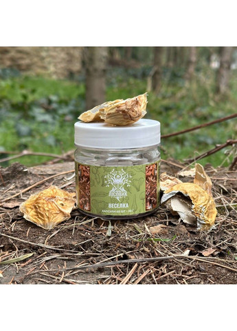 Весёлка обычная 60 капсул Лесовик Лісовик (364210668)