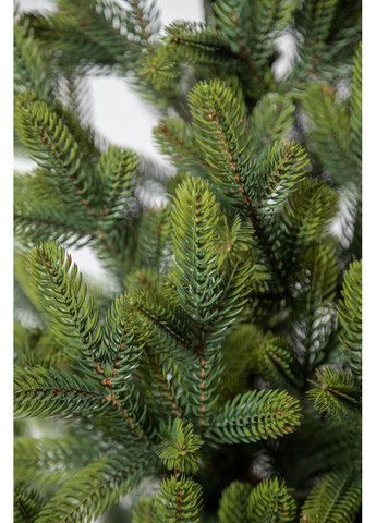 Ялинка лита SG "Віденська" в горщику Весняна зелена 0,90м Siga Group (366964590)