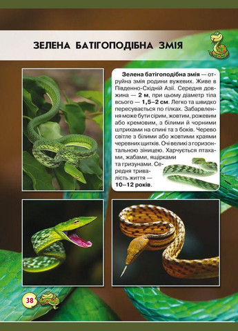 Світ навколо нас. Змії Кристал Бук (316082994)