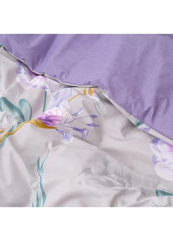 Комплект постельного белья евро ранфорс 25362 100% хлопок Viluta (361080632)