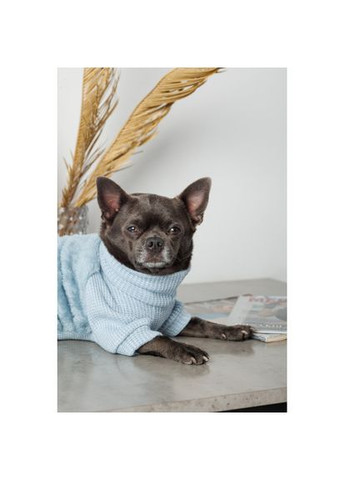 Светр Fur для собак, розмір Pet Fashion (333426607)