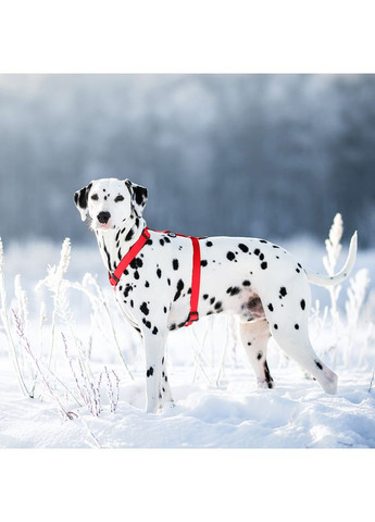 Шлей для собак водостойкий анатомический Н-образный WAUDOG Waterproof с QR-паспортом, пластиковая пряжка-фастекс,, Ш 20 мм, А 40-66 No Brand (363200722)