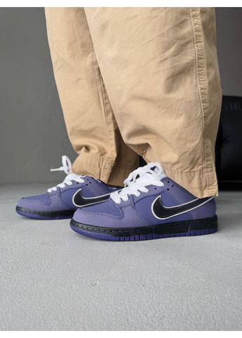 КРОСІВКИ ЖІНОЧІ NIKE SB DUNK PURPLE НАЙК СБ ДАНК No Brand комбіновані демісезони (367176332)