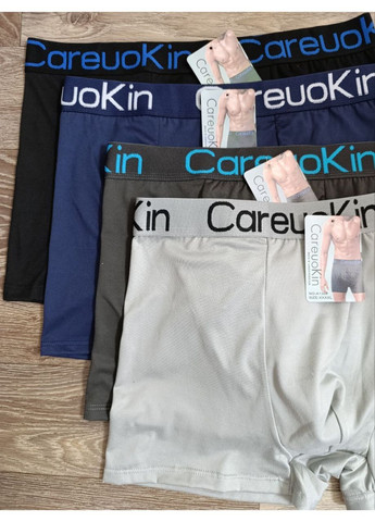 Чоловічі труси - боксери,, розміри від 4XL до 6XL CAREUOKIN (365331397)