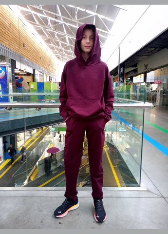 Женский спортивный костюм цвета "марсала" трикотажный 2 Льва (358068550)