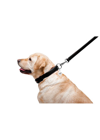 Поводок для собак кожаный Glamour, Ш 25 мм, Дл 122 см черный WAUDOG (322124919)