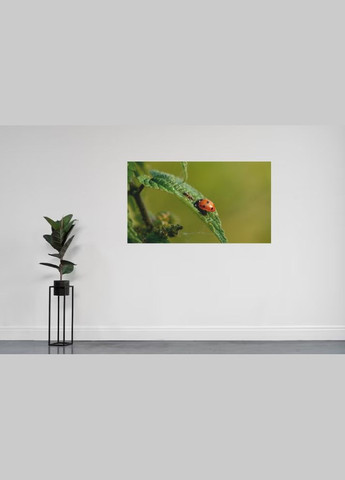 Інфрачервоний настінний обігрівач картина Мураха і Корівка 61x107см/250Вт/220В Monocrystal (276905157)
