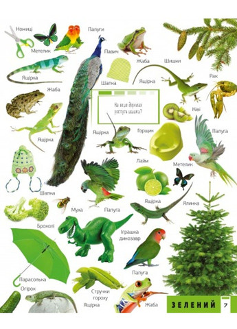 500 перших слів. Вивчаємо кольори. Розвиваємо увагу Марія Жученко Станіславівна Vivat (297214287)