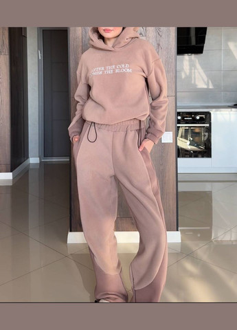 Демисезонный костюм двойка беж+мокко вставками, тёплый, ткань двухнитка на флисе (вставки из трёхнитки), штаны с кулиской No Brand 1185-1 (314464709)