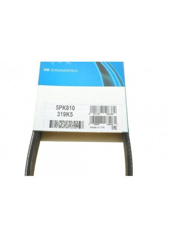 Ремень генератора BMW 3 (E46)/X5 (E53)/5 (E39) 2.5D/3.0D 98-06 5PK810 RU63 Dayco (360492679)