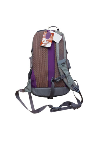 Рюкзак мужской R1595 Purple надежный 25 литров Onepolar 1595 (329899602)