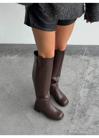 Коричневые осенние ботфорты зимние Helen