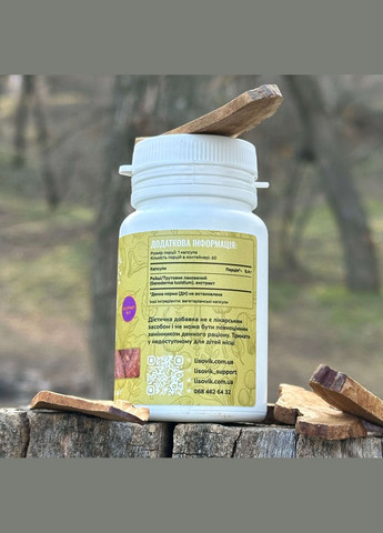 Гриб Рейши/Трутовик лакированный, экстракт 10:1, капсулы 60 шт по 0.4 г Лісовик (334292842)