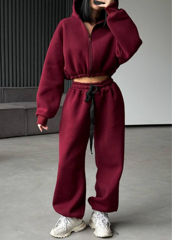 Базовий повсякденний демісезонний оверсайз костюм двійка: вкорочений худі на блискавці + штани з затяжками Tik-Tak (364957591)