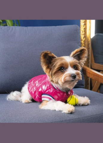 Бомбер для собак дрібних порід Grace, рожевий XS Pet Fashion (402783404)