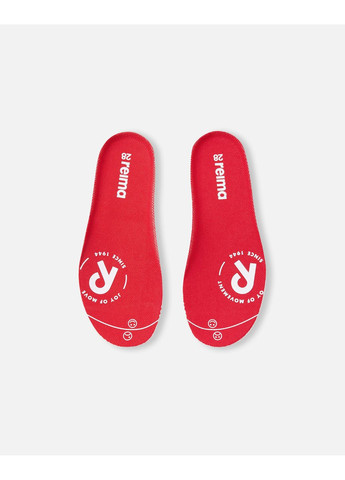 Черевики зимові Reimatec Reima Hallava (355862178)