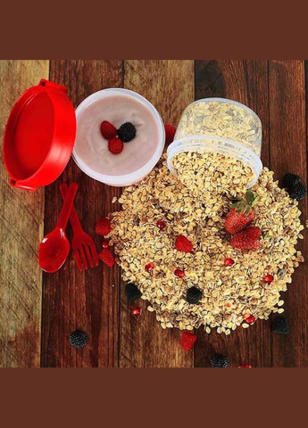 Контейнер для мюслі 800 мл Take'N Go пластик Titiz Контейнер для мюсли 800 мл Take'N Go пластик (305296940)