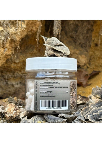 Міцелій Траметеса різнобарвного капсули 120 шт Лісовик (364210579)