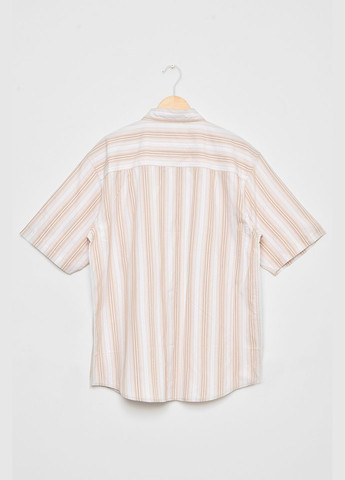 Сорочка чоловіча батальна бежевого кольору в смужку Let's Shop (292630444)
