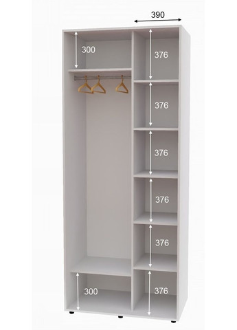 Шкаф-купе двухдверный 100*60*250 см Белый 2 двери ДСП Алекса (360450043)