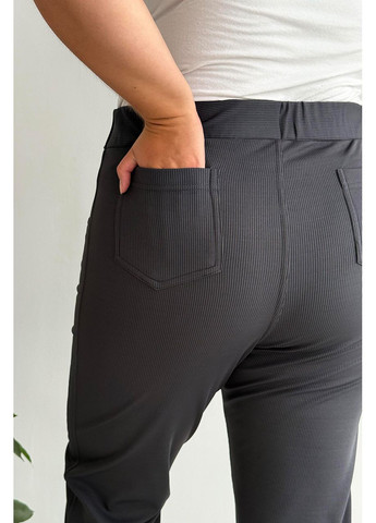 Штани великих розмірів утеплені без застібок висока посадка No Brand 1272 (351586449)