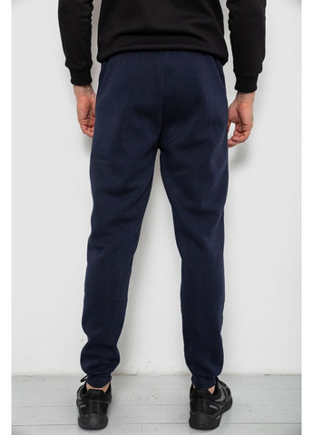 Синие демисезонные брюки Ager