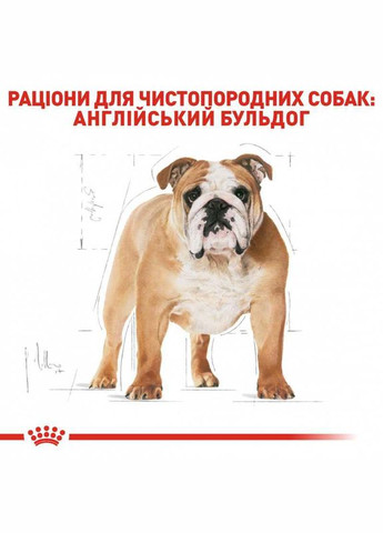 Сухий корм Bulldog Adult для дорослих собак породи англійський бульдог, 12 кг Royal Canin (289352033)