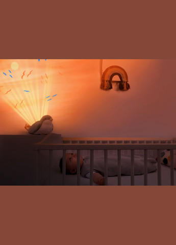 Ночник-проектор Птичка Шелли с подвижной проекцией и мелодиями () Zazu ZA-SHALLY-01 (328396800)