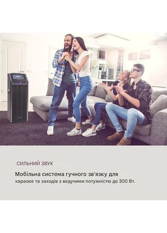 Мобільна акустична система 300 Вт (10035201) Auna DisGo Box 2100 DVD (383406808)