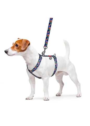 Ошейник WAUDOG (336964540)