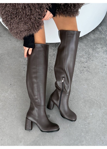 Коричневые осенние демисезонные ботфорты Helen