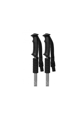 Палиця для скандинавської ходьби Energia сіра EasyFit (362497619)