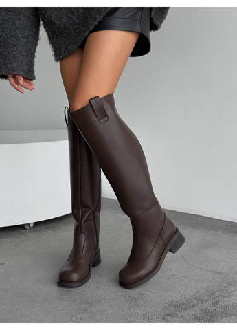 Стильні жіночі ботфорти No Brand (368528008)