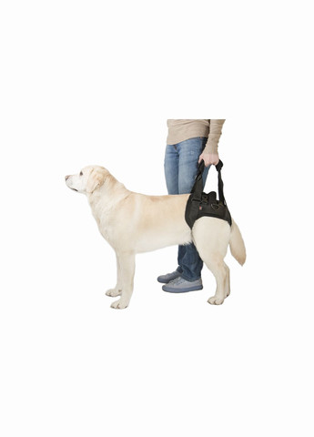 Підтримка для задніх лап "трусами" розмір XS Чорний Frakishtak (304546068)