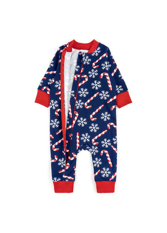 Комбинезон для новорожденных на молнии candy двунитка с начесом Dexter`s dexter's (369842310)