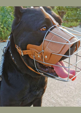 Намордник для собак, металлический кожаный Черный L Maychan (308862963)