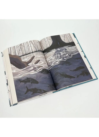 Ворони — Стівотер Меґґі |, книга українською, нова, тверда No Brand (363985347)