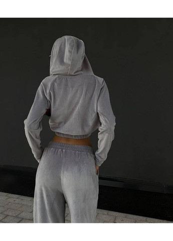 Женский велюровый спортивный костюм FINO Mode (354343968)