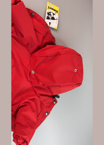 Комбинезон для собак Passion, (*) SmartPet (323153199)