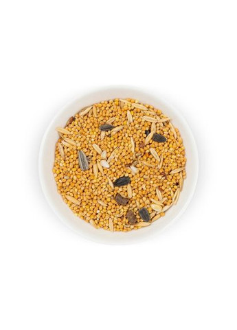 Корм «Попугайчик. Йод» для волнистых попугаев, 500 г Природа (349861473)