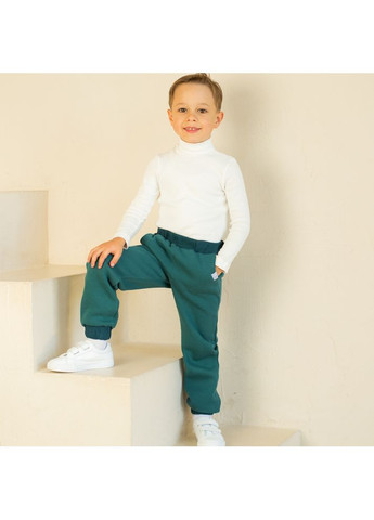 Спортивні брюки дитячі утеплені Trendy Tot 03-01362_000003175 (372735874)