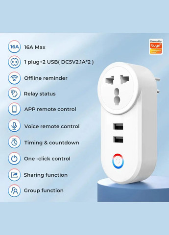 Умная розетка WiFi 16A с USB TUYA (337506693)