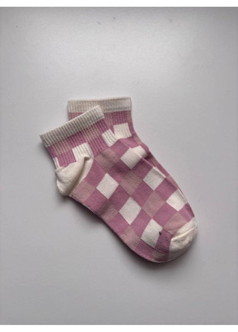 Фіолетові шкарпетки жіночі фіолетові (1066/2) клітинка (370289548)